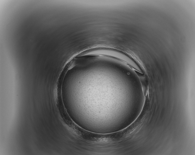 X0000116870204200912291326