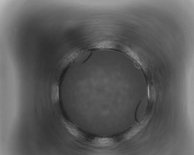 X0000116870205200912291326