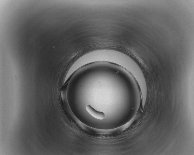 X0000116870211200912291326
