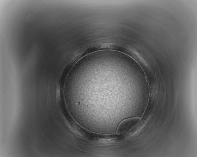 X0000116870213200912291326