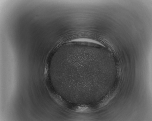 X0000116870214200912291326
