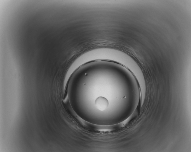 X0000116870215200912291326