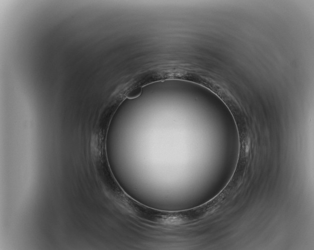 X0000116870218200912291326