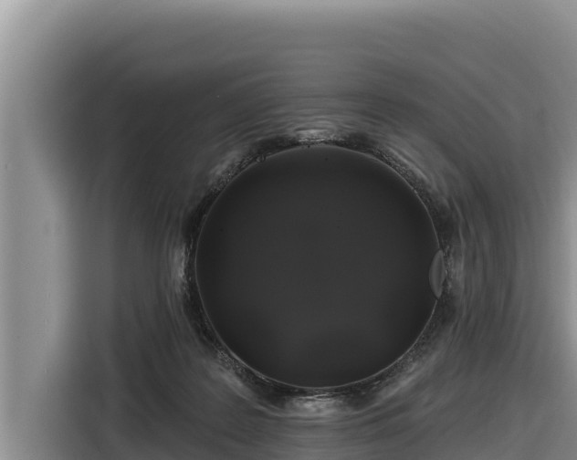 X0000116870219200912291326