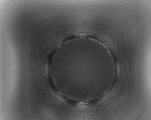 X0000116870222200912291326