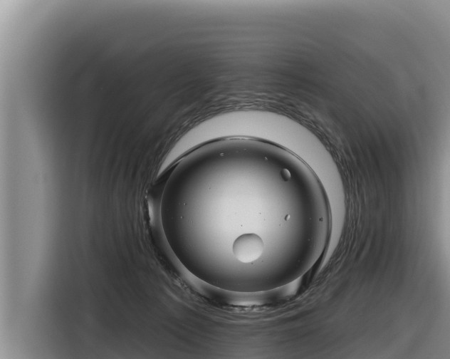 X0000116870225200912291326