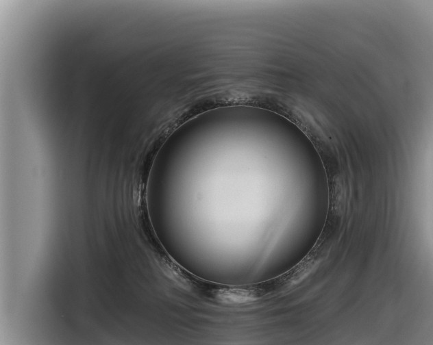 X0000116870230200912291326