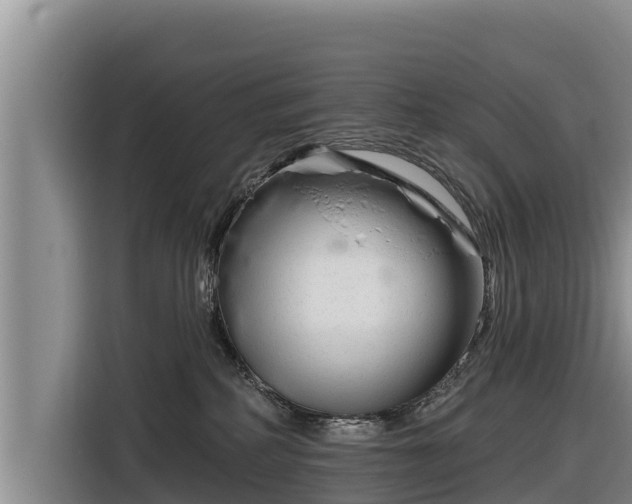 X0000116870234200912291326