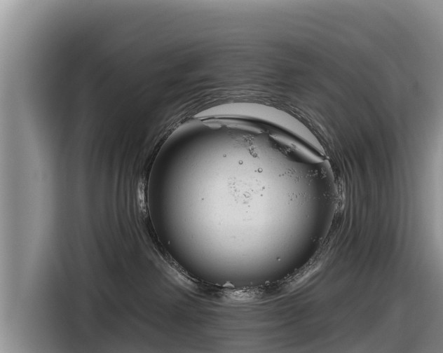 X0000116870238200912291326