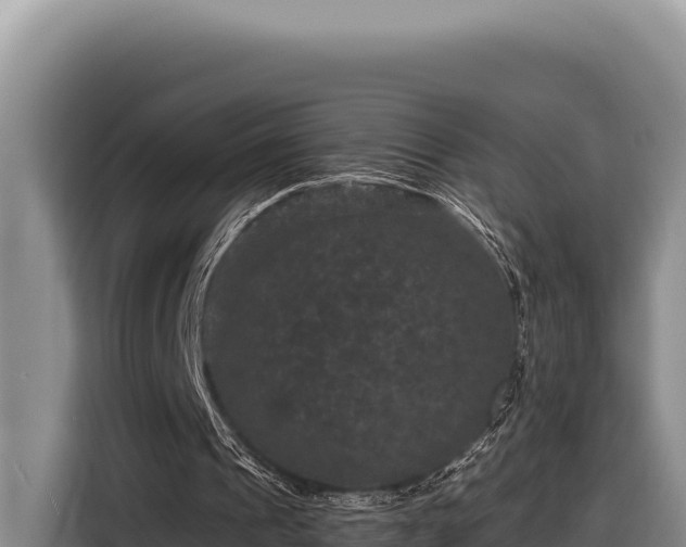 X0000116870241200912291325