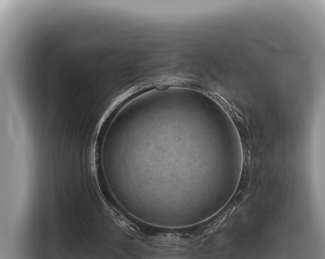 X0000116870244200912291325