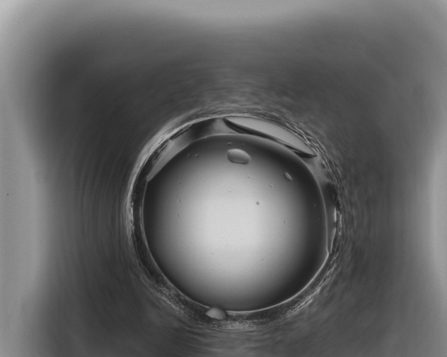 X0000116870246200912291325