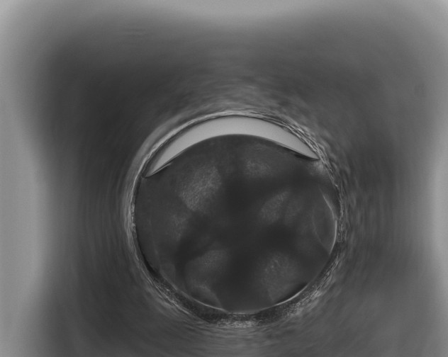 X0000116870247200912291325