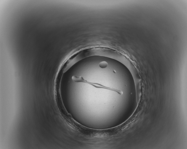 X0000116870248200912291325