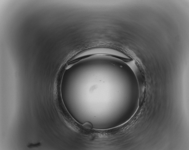 X0000116870250200912291325