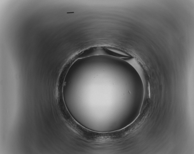 X0000116870252200912291325