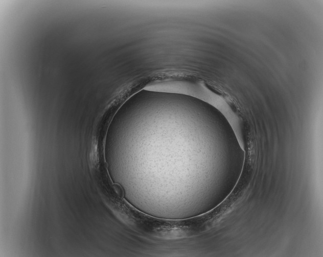 X0000116870254200912291325