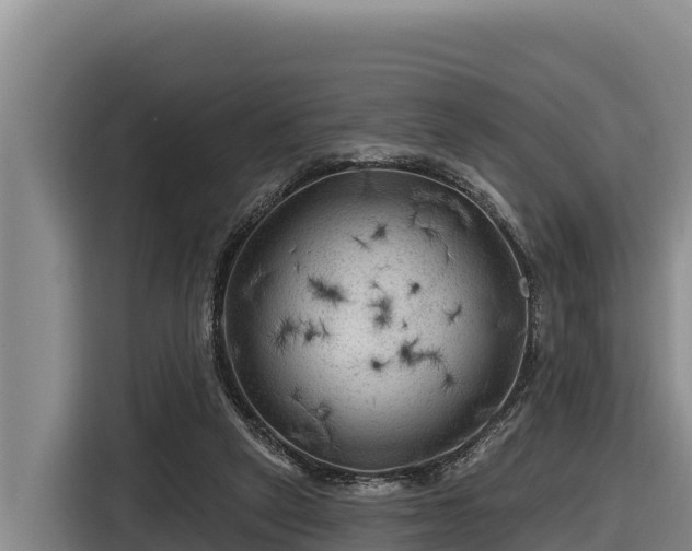 X0000116870257200912291325