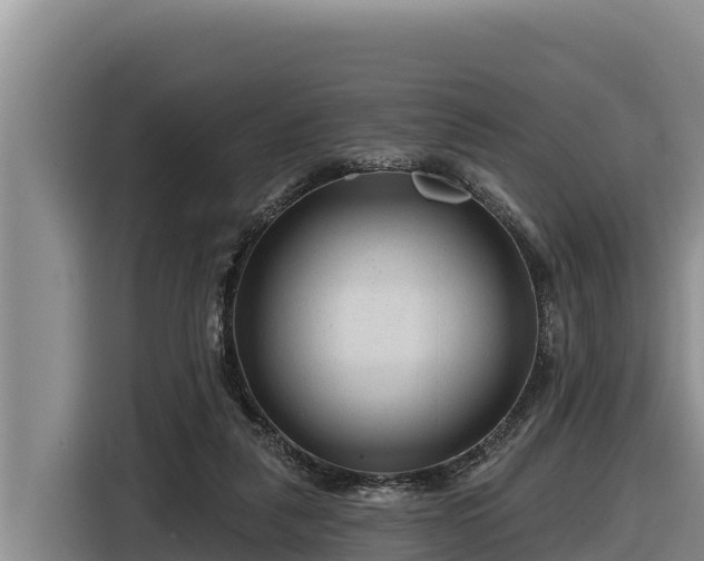X0000116870259200912291325