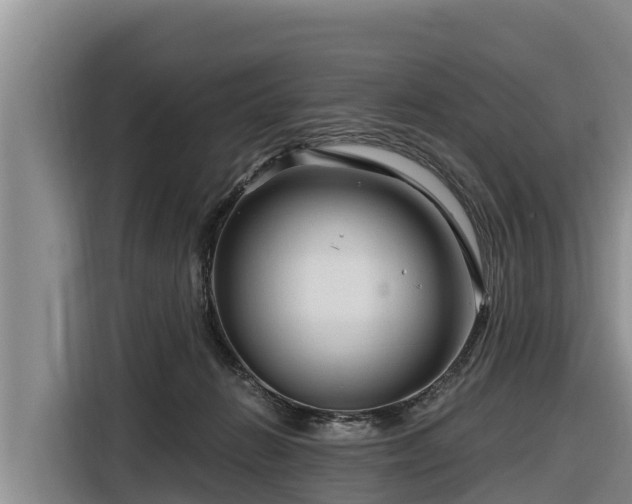 X0000116870270200912291325