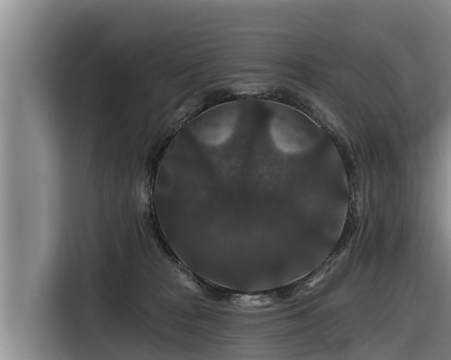 X0000116870277200912291325