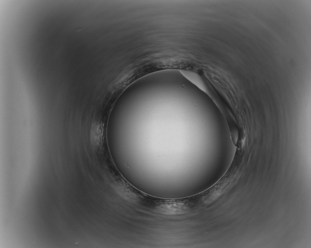 X0000116870278200912291325