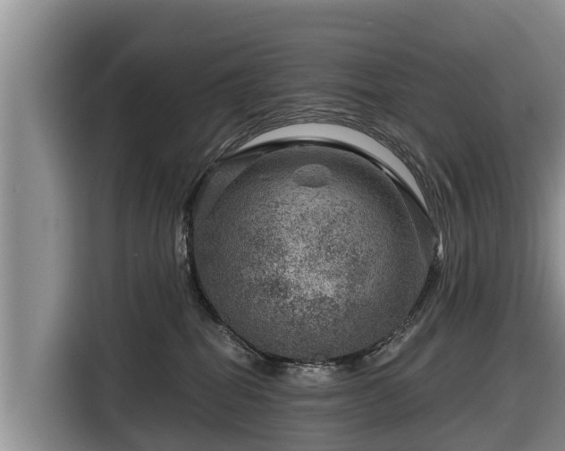 X0000116870282200912291325