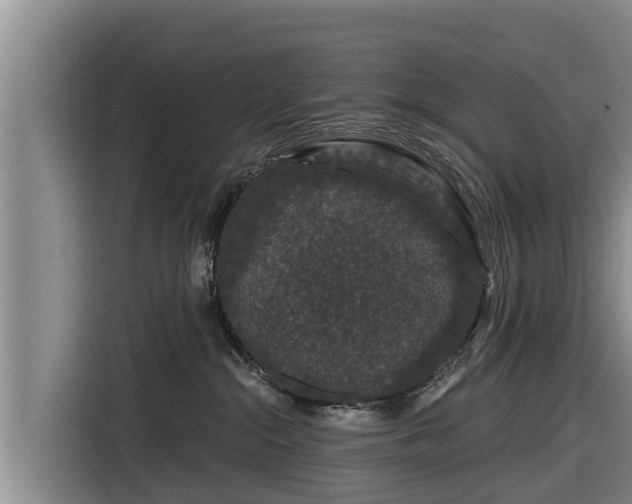 X0000116870284200912291325