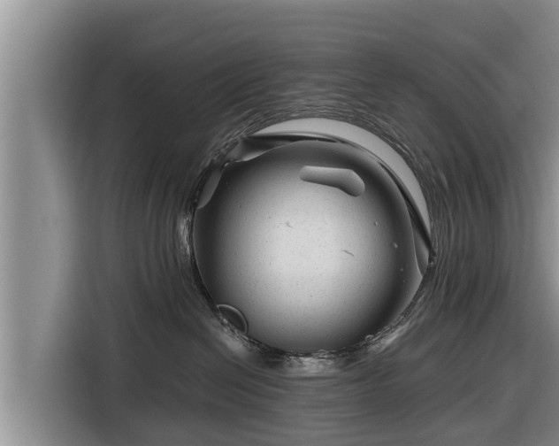 X0000116870286200912291325