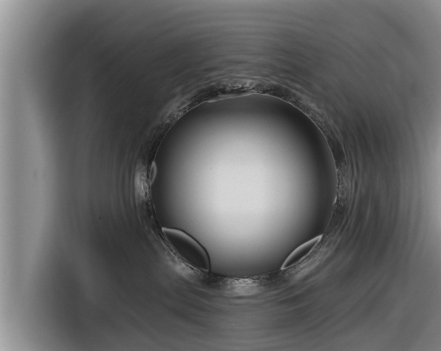 X0000116870287200912291326