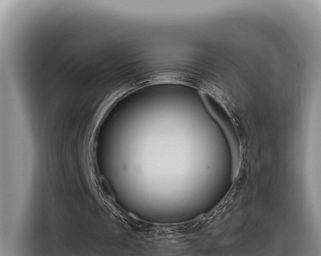 X0000116870289200912291325