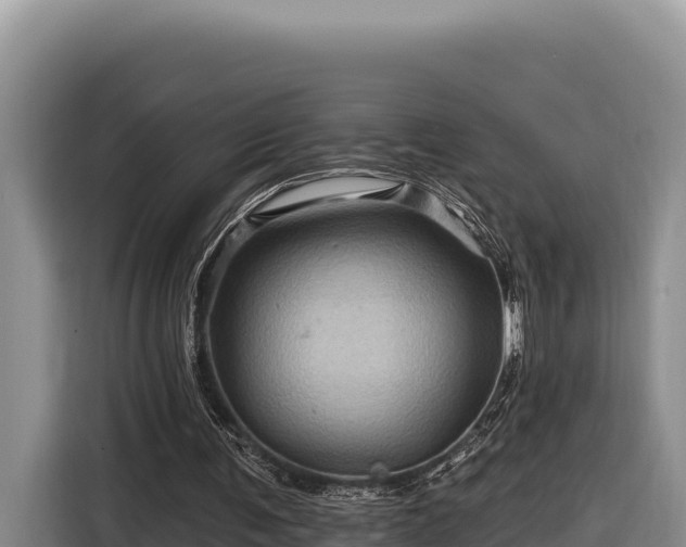 X0000116870291200912291325