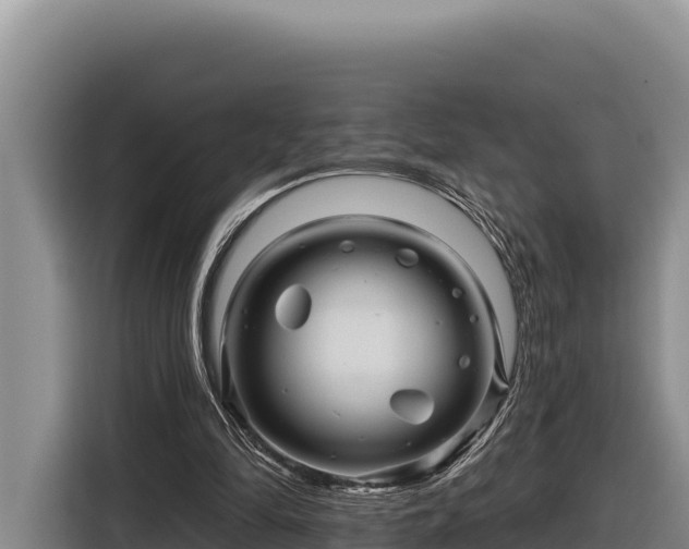 X0000116870294200912291325