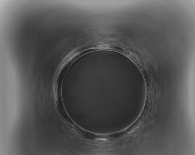 X0000116870295200912291325