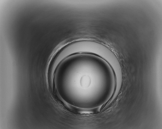 X0000116870296200912291325