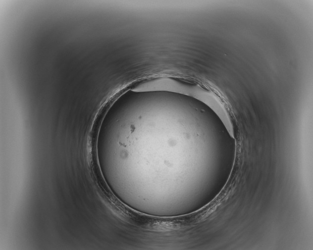 X0000116870298200912291325