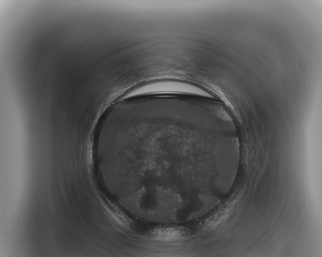 X0000116870299200912291325