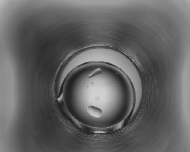 X0000116870300200912291325