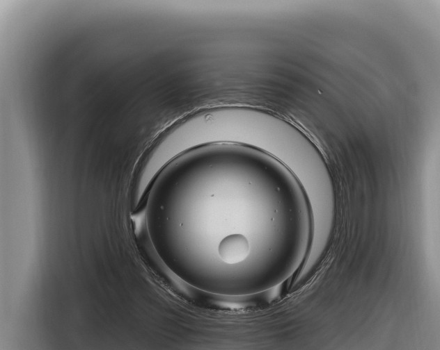 X0000116870301200912291325