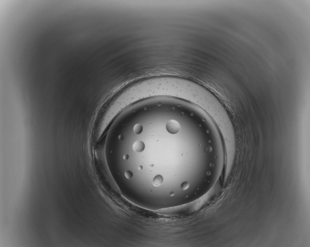 X0000116870302200912291325