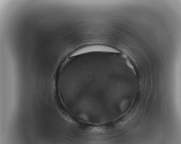X0000116870303200912291325