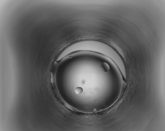 X0000116870305200912291325