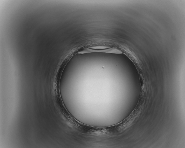 X0000116870306200912291325