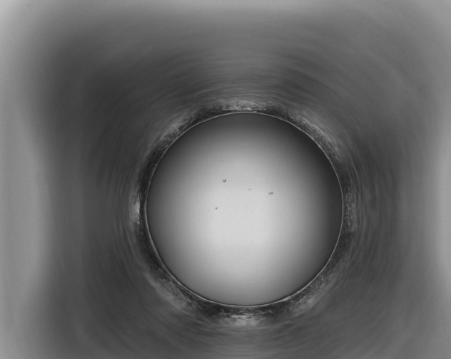 X0000116870310200912291325