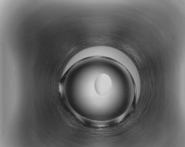 X0000116870312200912291325