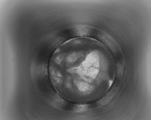 X0000116870313200912291325