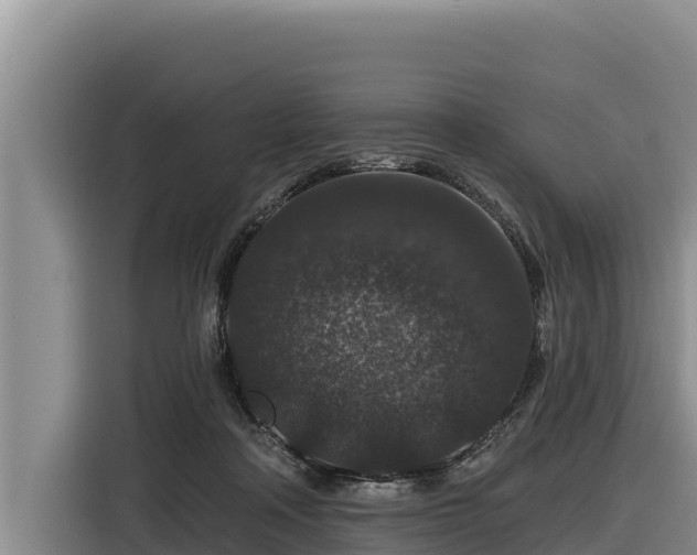 X0000116870314200912291325