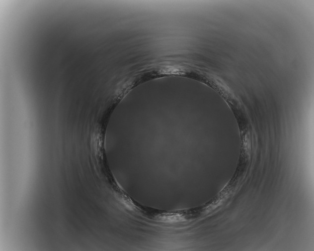 X0000116870322200912291324