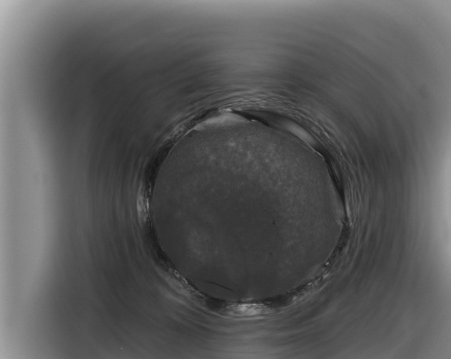 X0000116870324200912291324