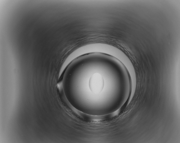 X0000116870325200912291324